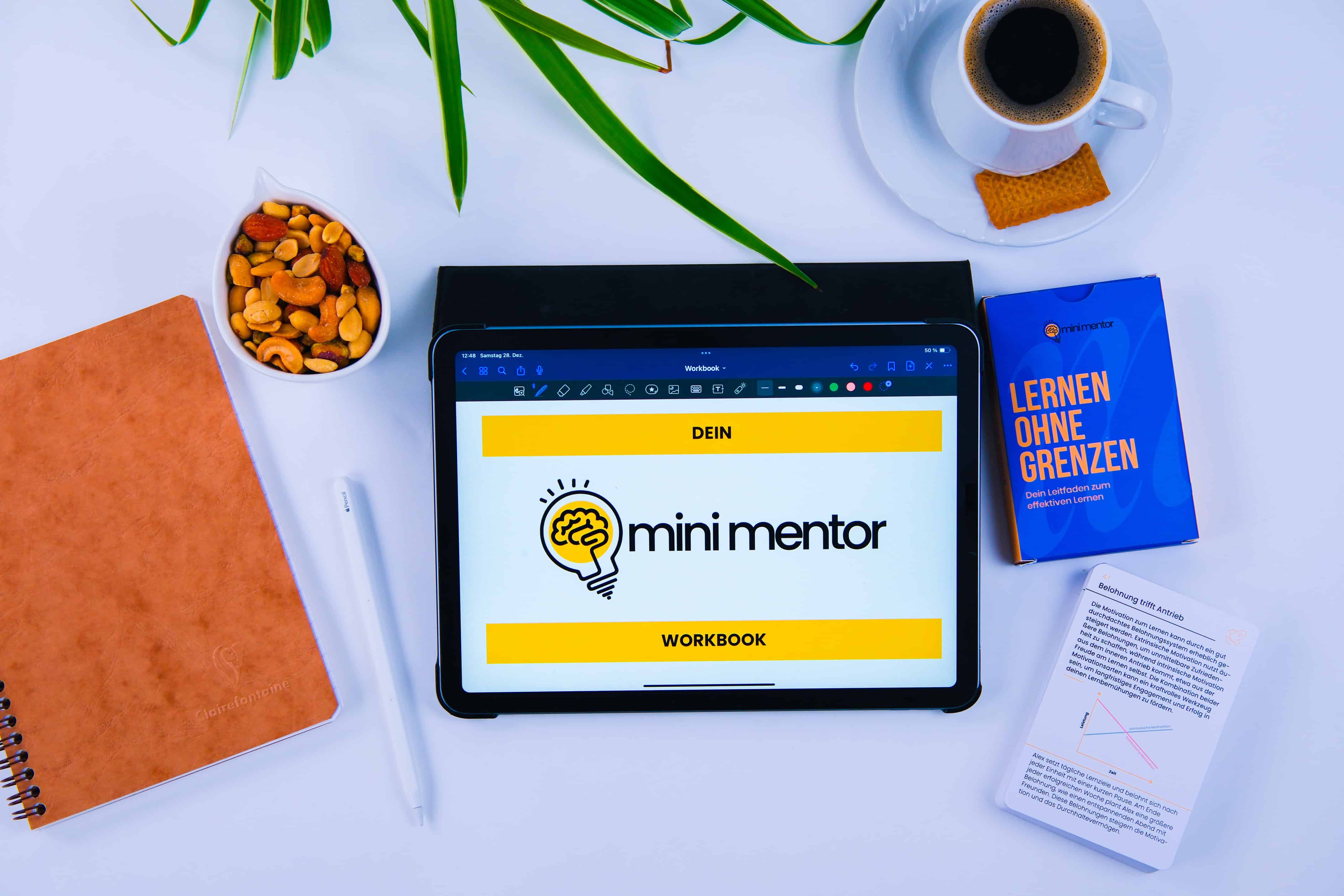 mentify Mini Mentor