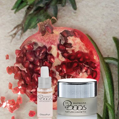 Ayur-Dhana Naturkosmetik und Ayurveda Studio