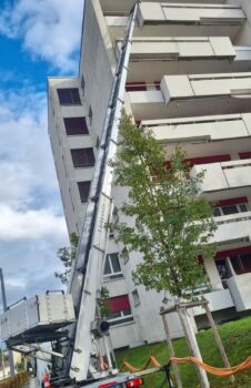 Home to Goo GmbH Transport&Umzug – Bild 2