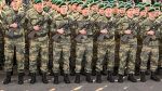 Bildungsreform KI Bundesheer verzeichnet leichten Anstieg bei Grundwehrdienern 2024