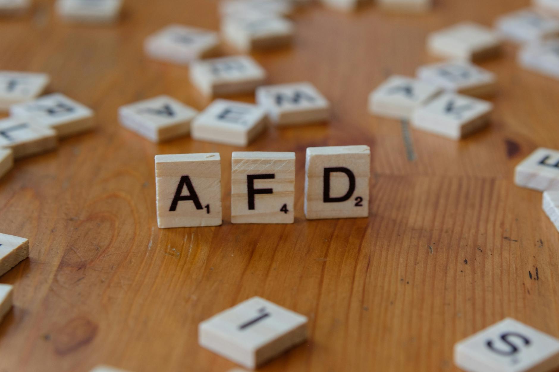 Detailansicht: AFD Kritik