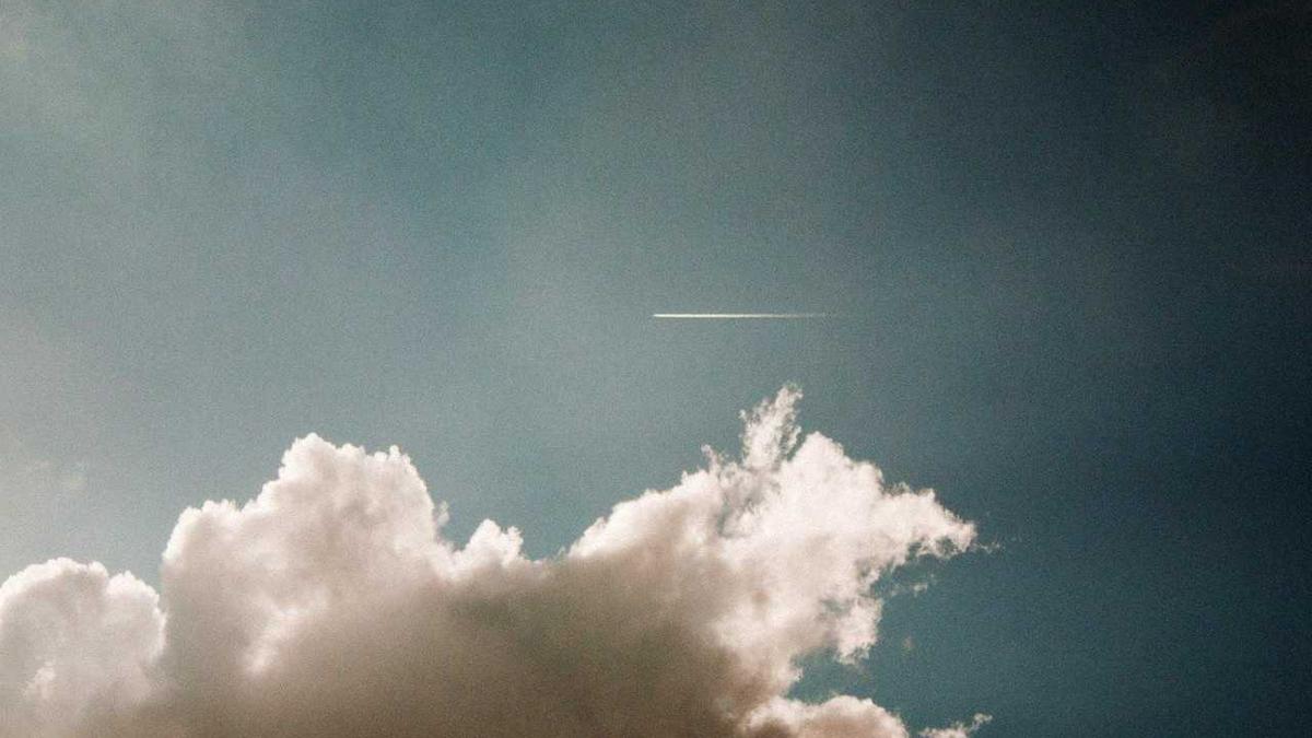 AFD Niedersachsen Filz Symbolbild zum Thema AFD Niedersachsen Filz