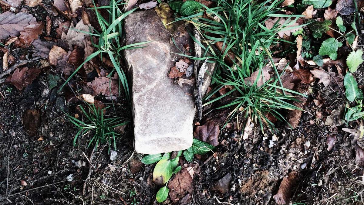 Belinda Bencic Illustration zu Belinda Bencic