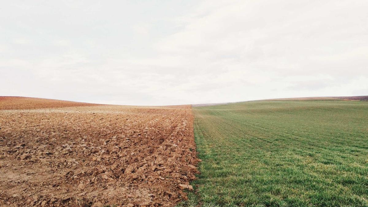 Cora Schumacher Sohn Detailansicht: Cora Schumacher Sohn