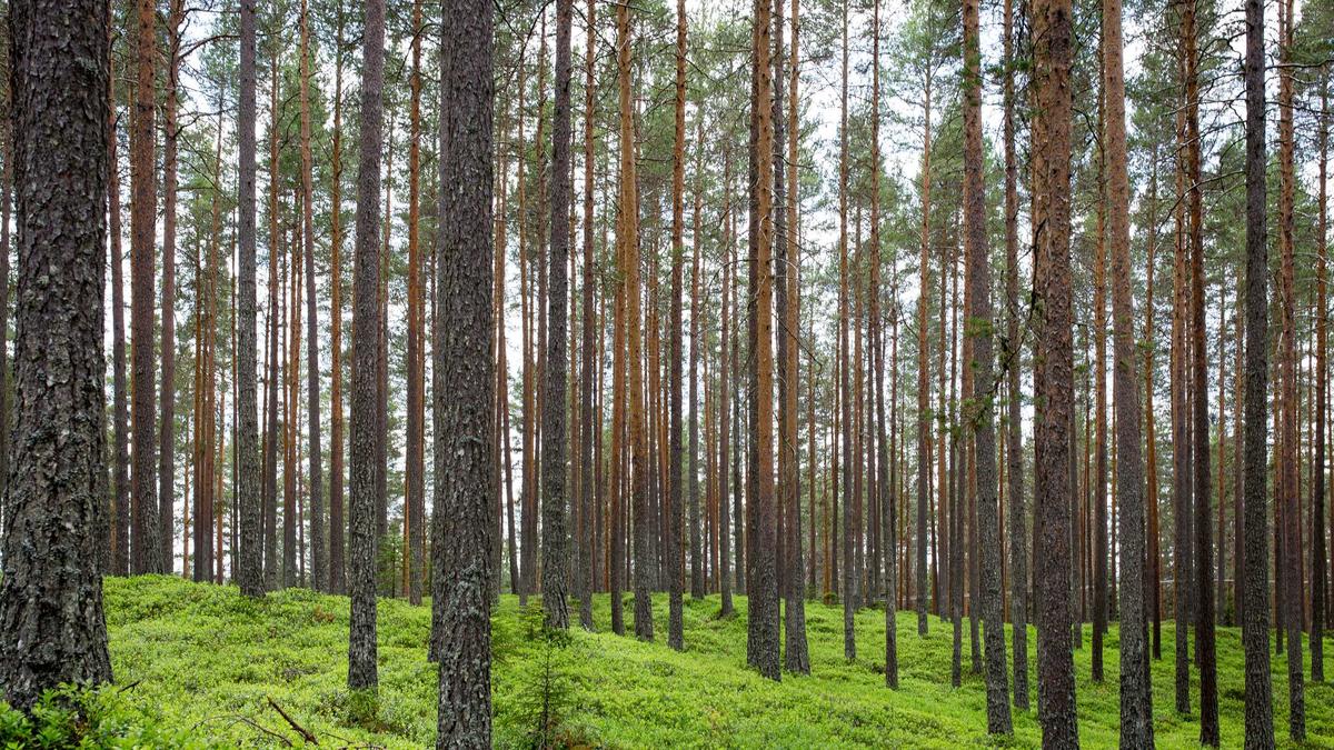 Detailansicht: Extremwetter Europa