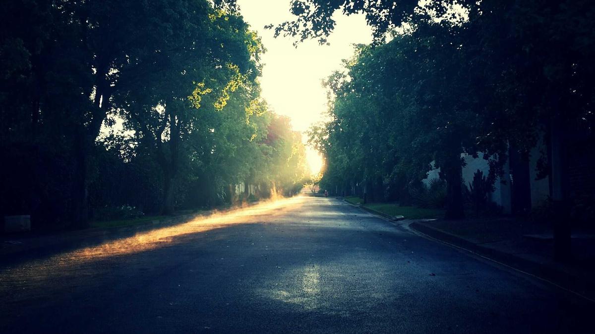 Detailansicht: Golf Gti 50 Jahre