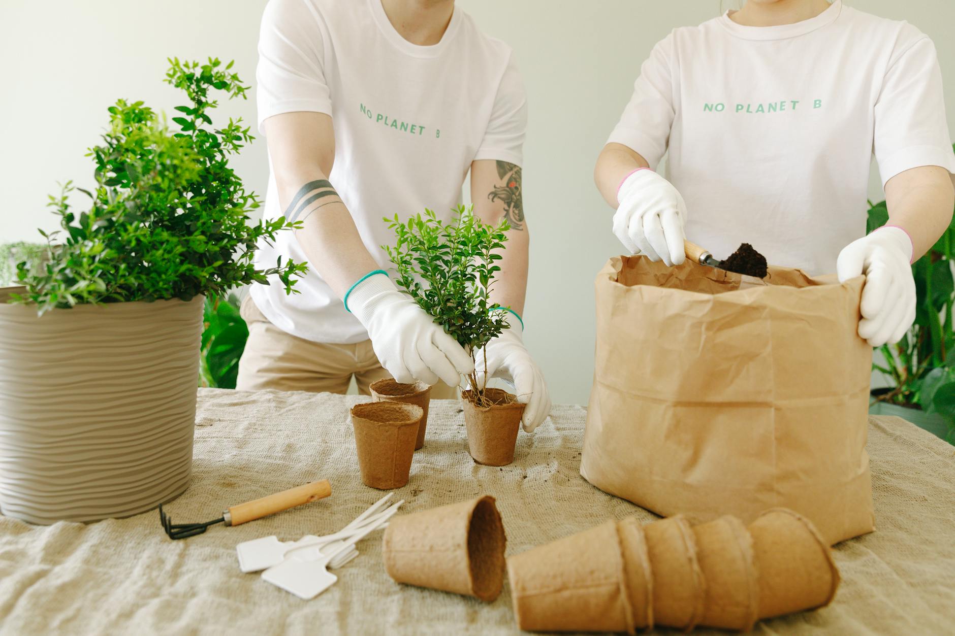 Illustration zu Greenpeace Asbest Fund
