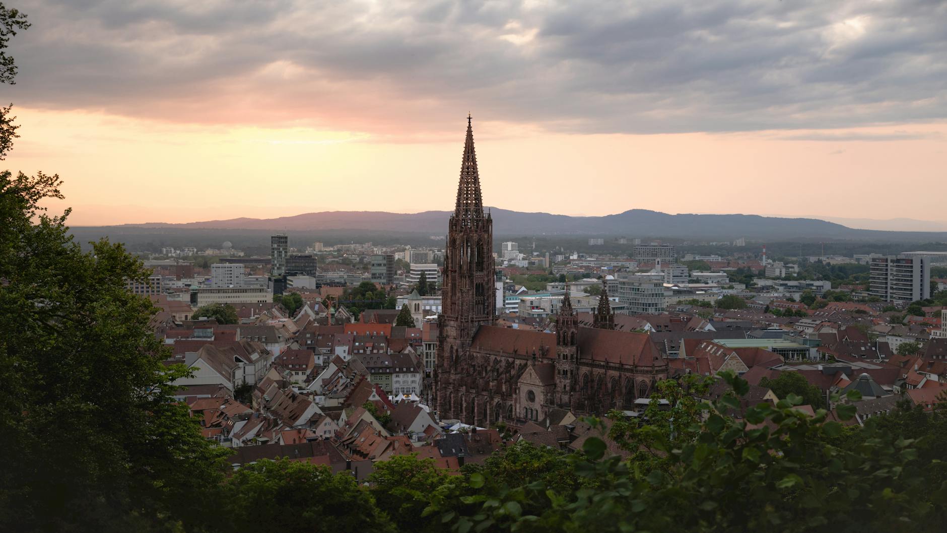 Detailansicht: Hertha – Freiburg