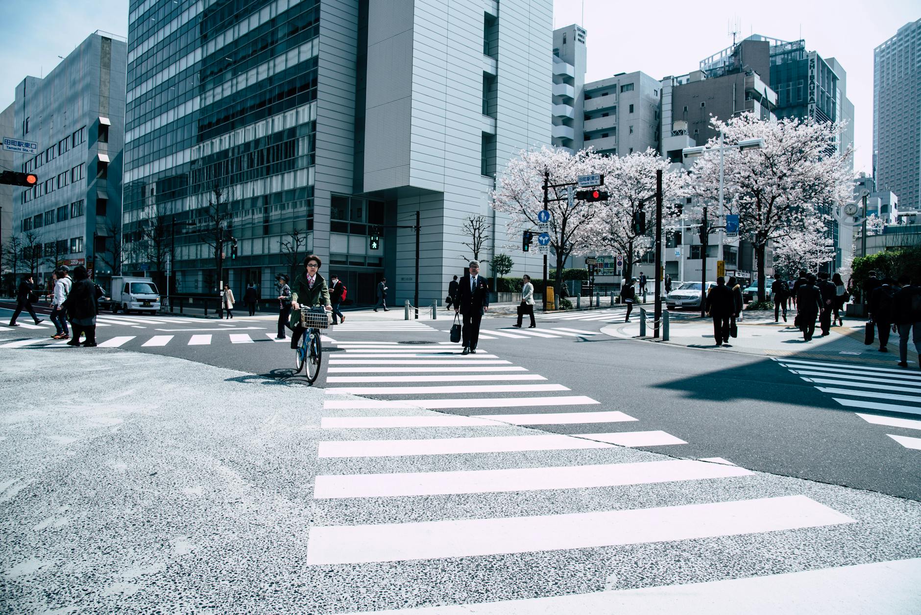 Japan Reise Erfahrungen Detailansicht: Japan Reise Erfahrungen