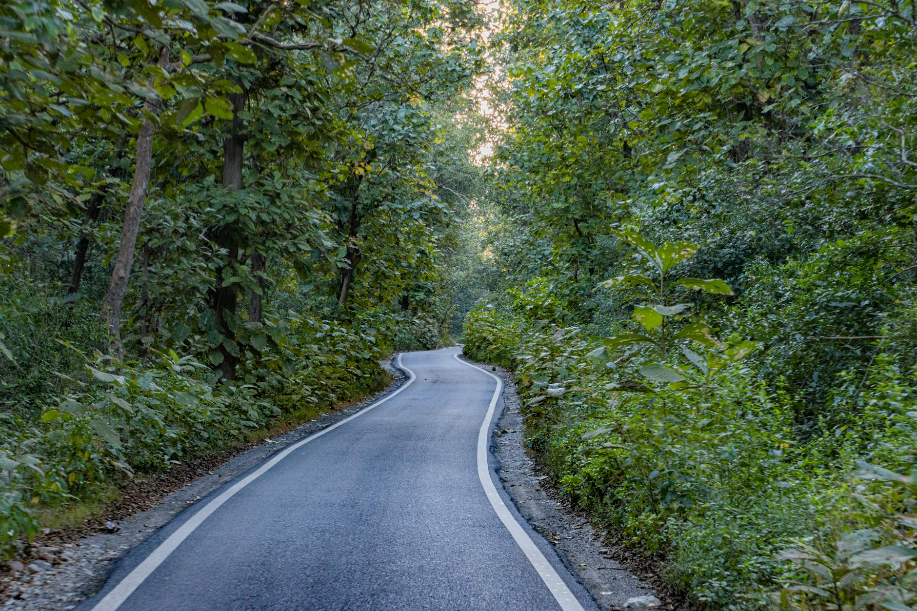 Jim Curtis Jennifer Aniston Illustration zu Jim Curtis Jennifer Aniston