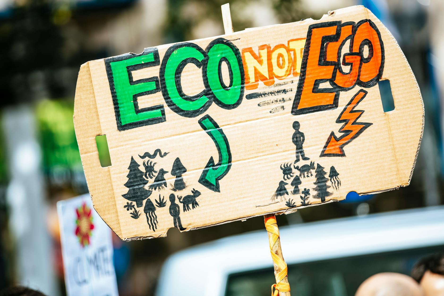 Illustration zu Klimawandel Weideflächen
