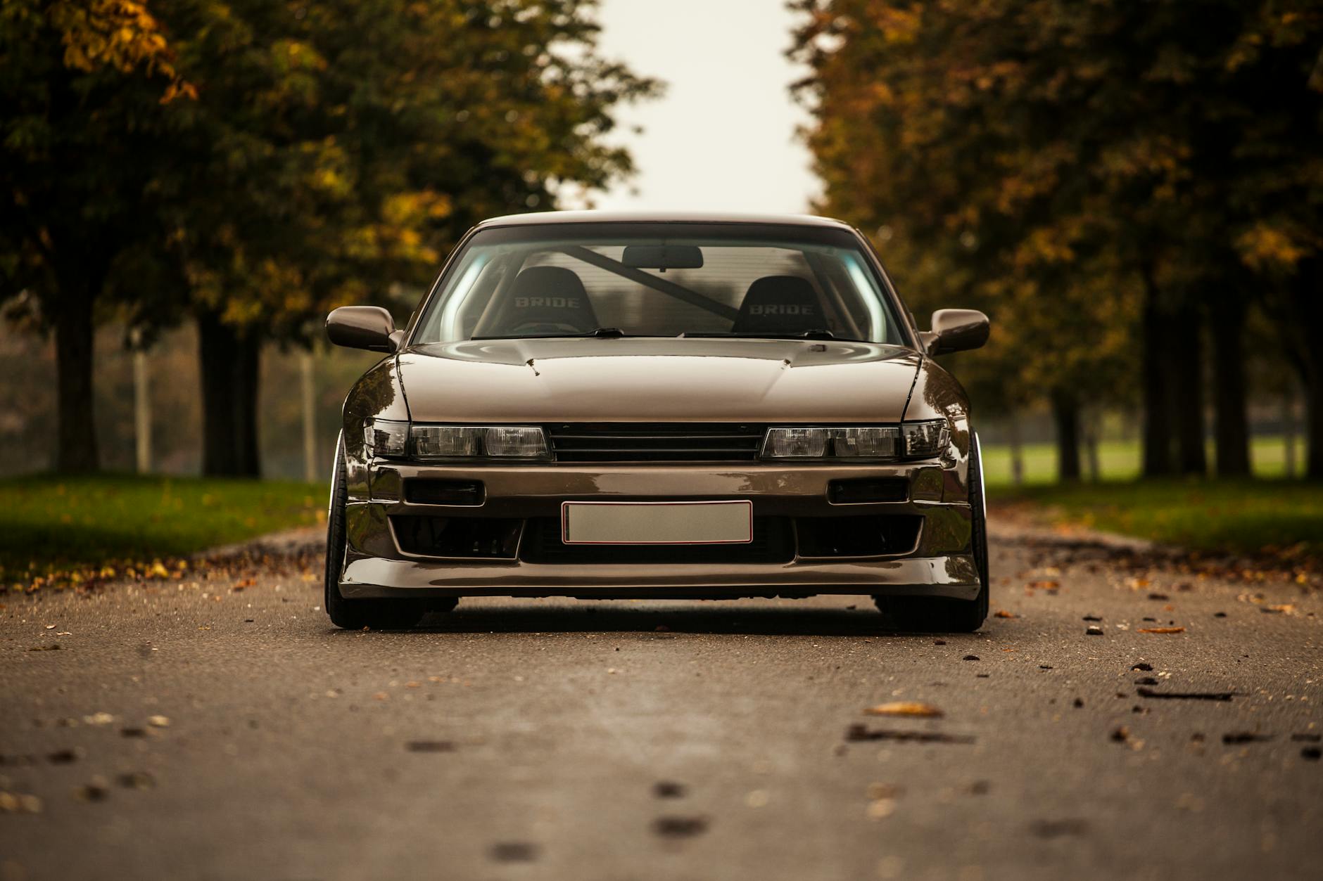 Königin Silvia Krank Detailansicht: Königin Silvia Krank