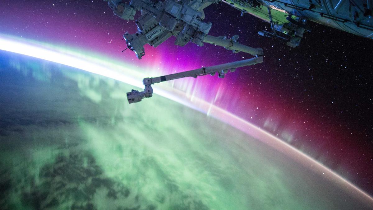 Senta Berger Sturz Senta Berger Sturz