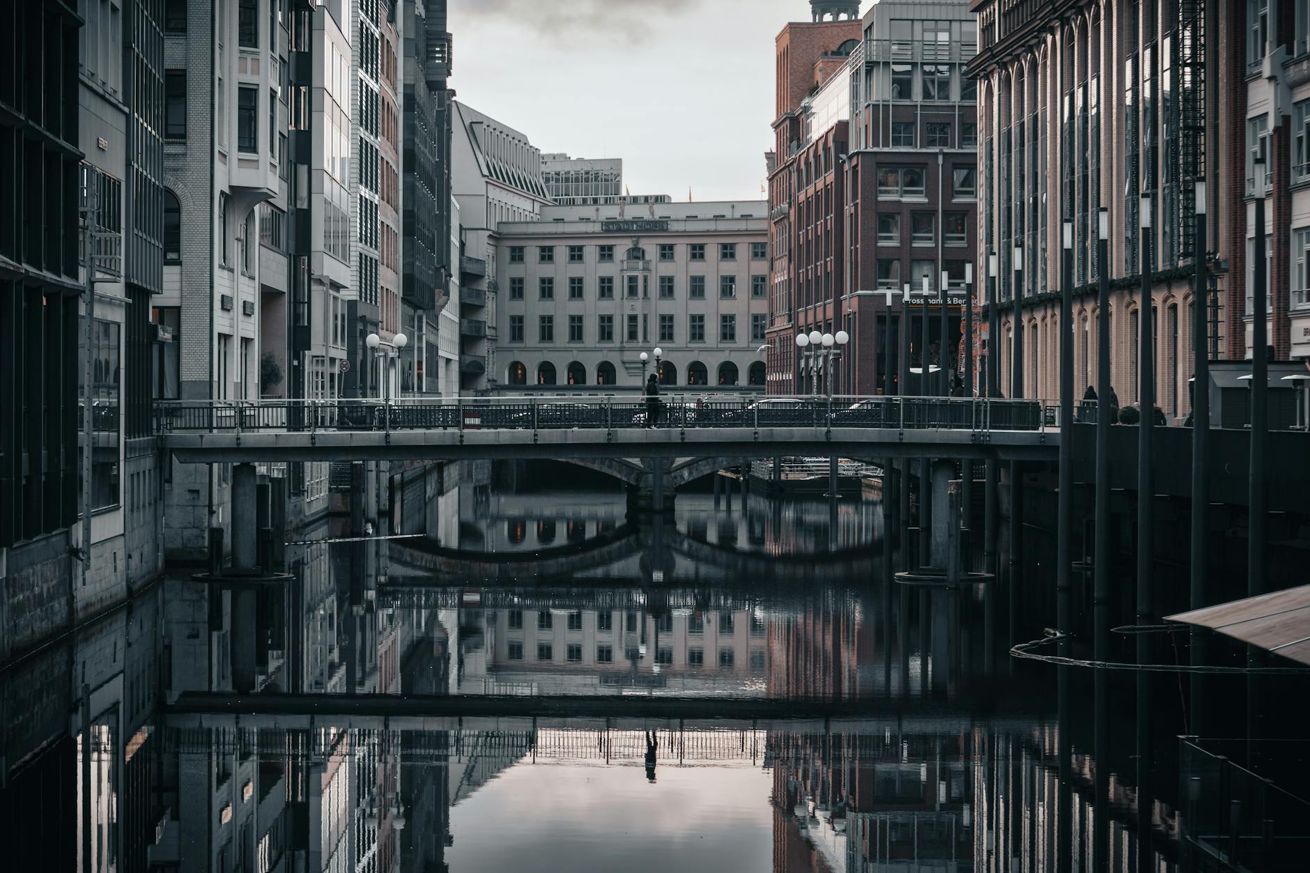 Detailansicht: Sepideh Hamburg