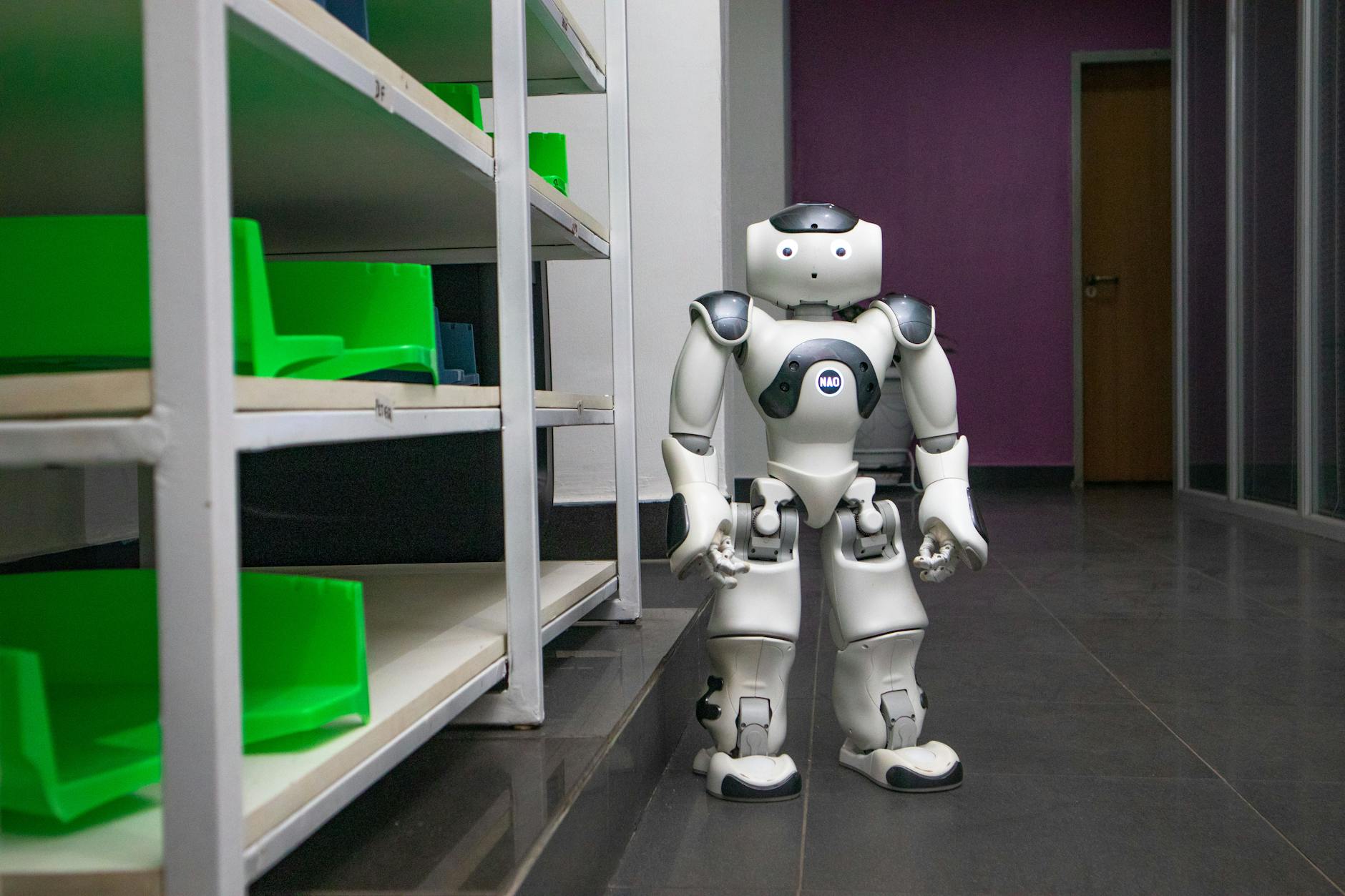 Detailansicht: Shaolin Roboter