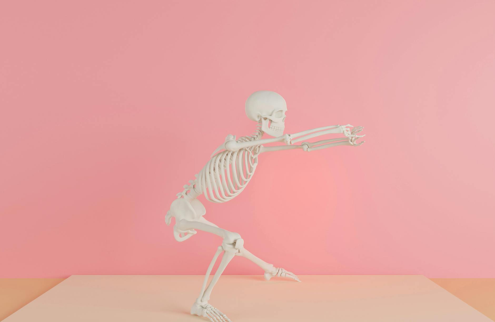 Skeleton Olympia Detailansicht: Skeleton Olympia