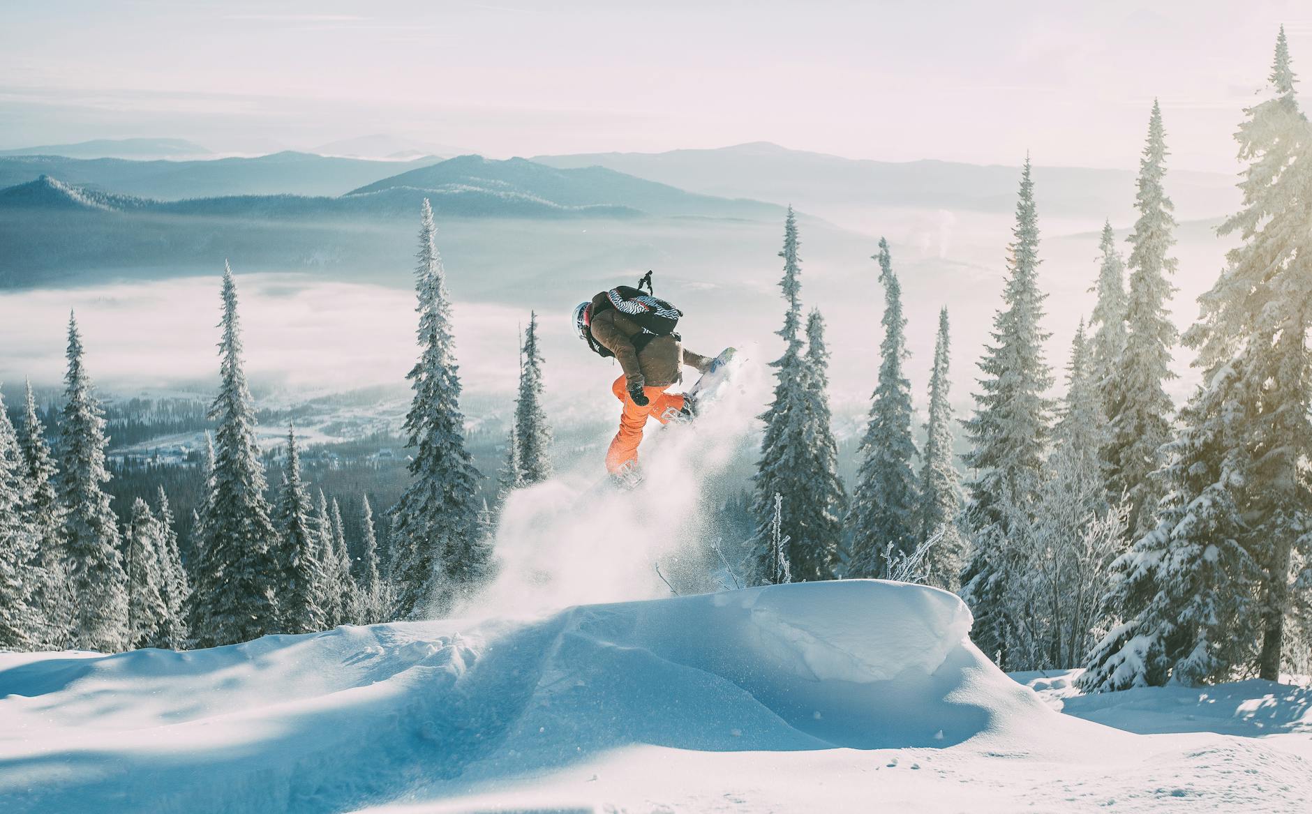 Snowboard Olympia Detailansicht: Snowboard Olympia