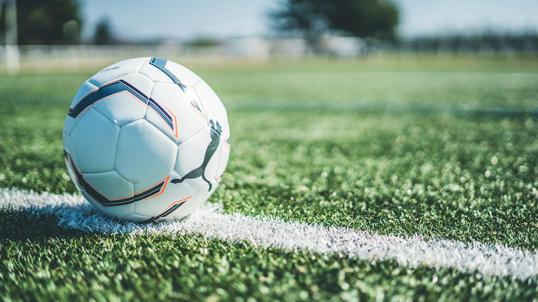 Detailansicht: Tiere Spielen Fußball