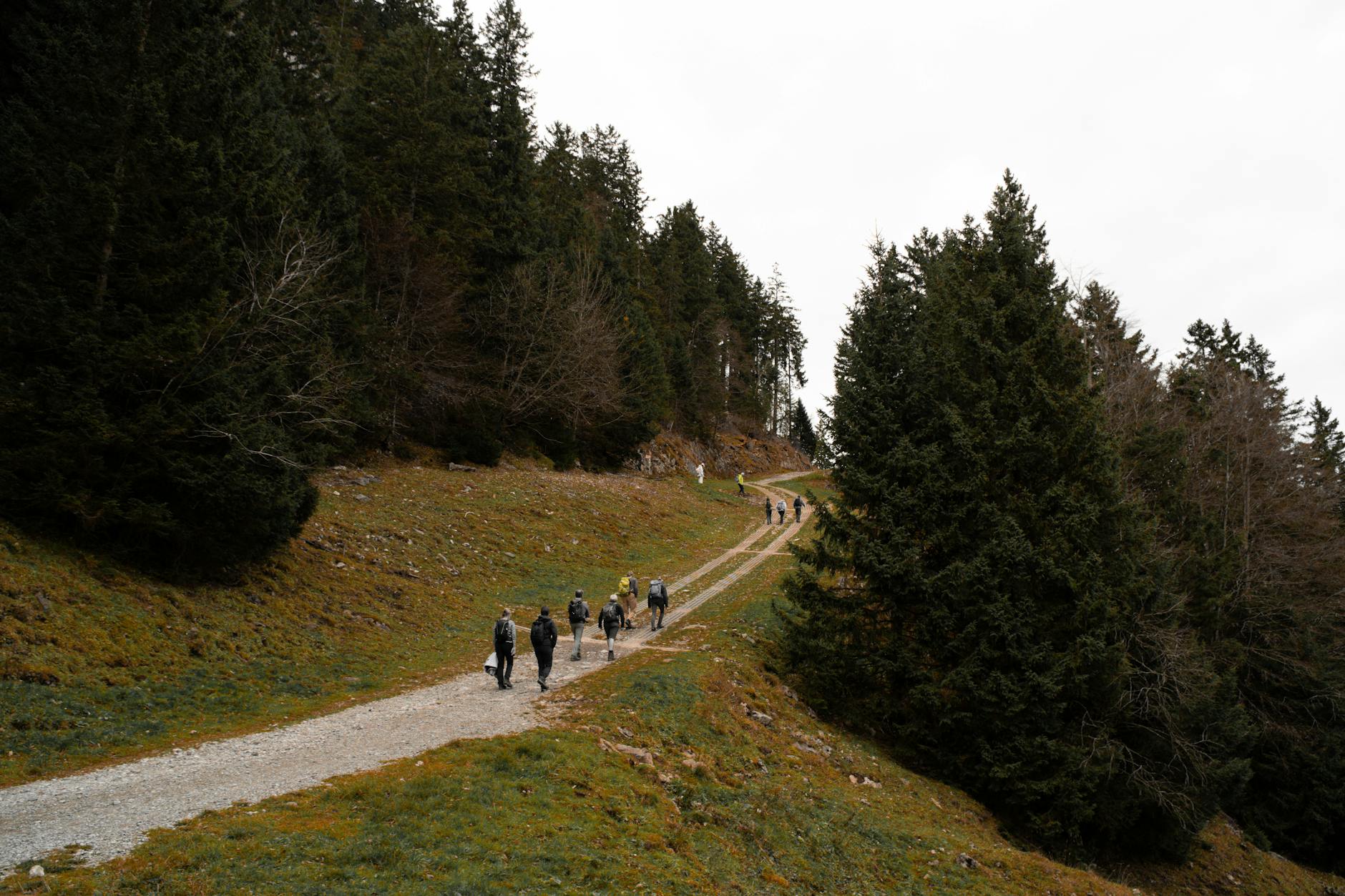 Benzinpreise Schweiz Detailansicht: Benzinpreise Schweiz