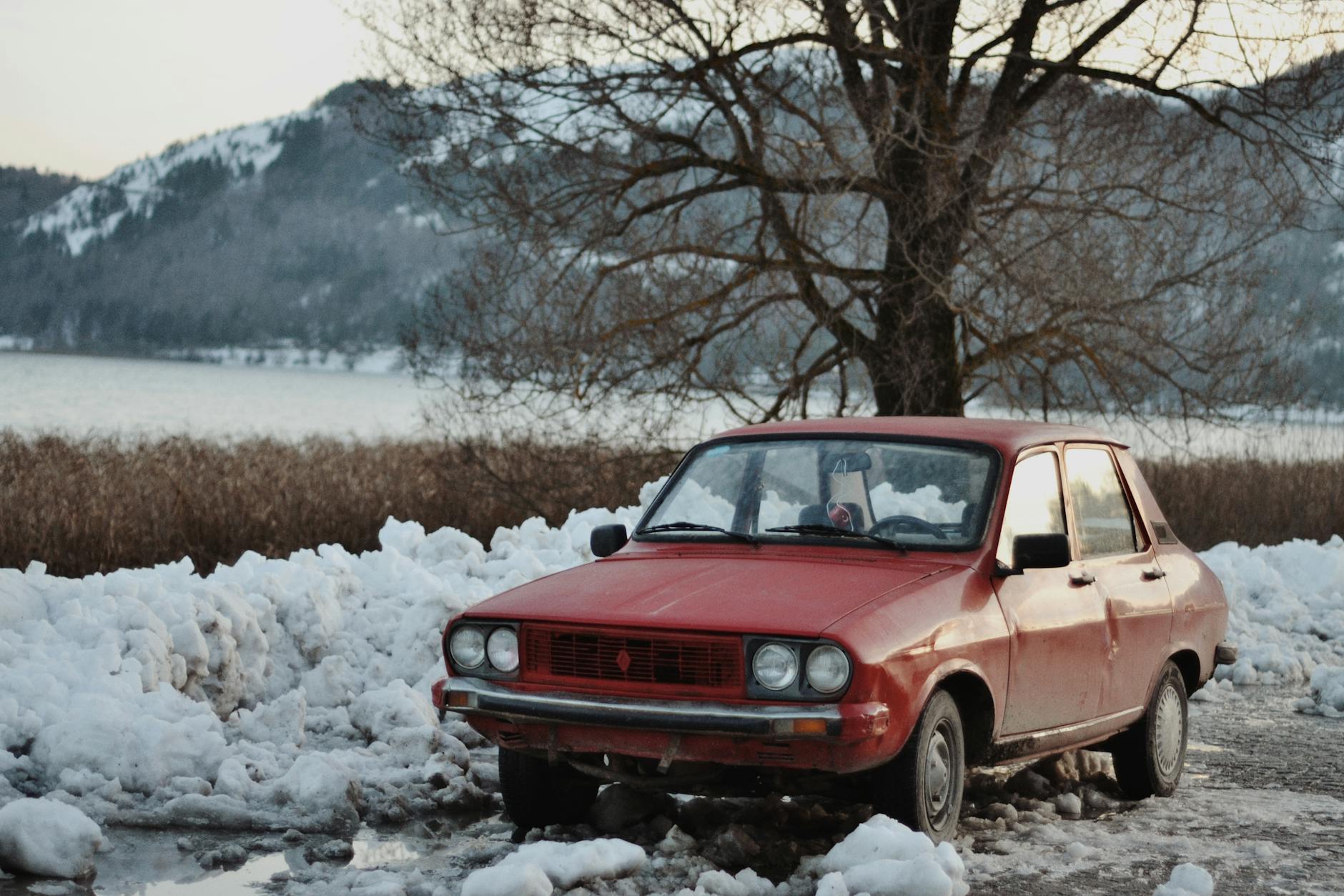 Dacia Striker Illustration zu Dacia Striker