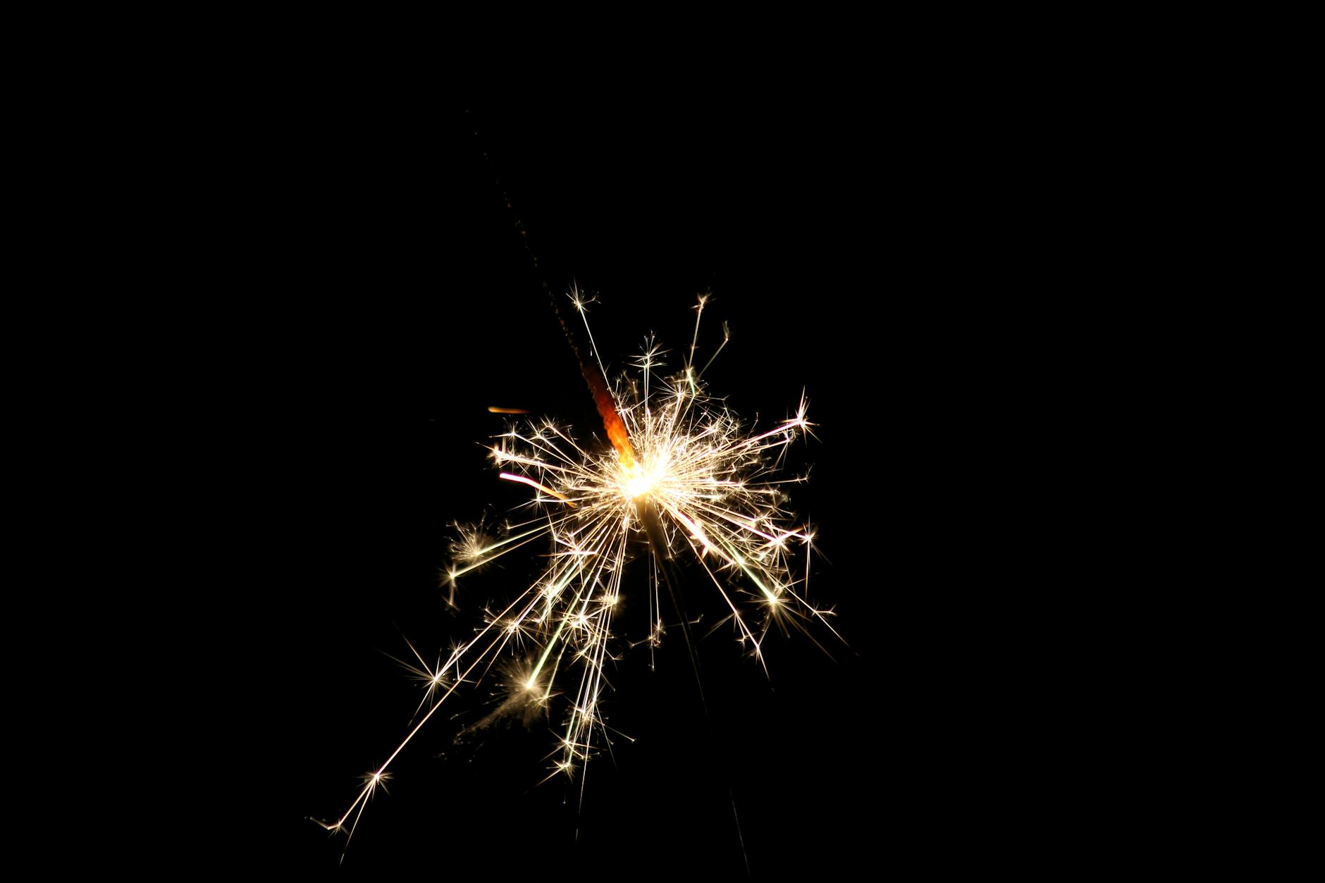 Detailansicht: Dasha Burns