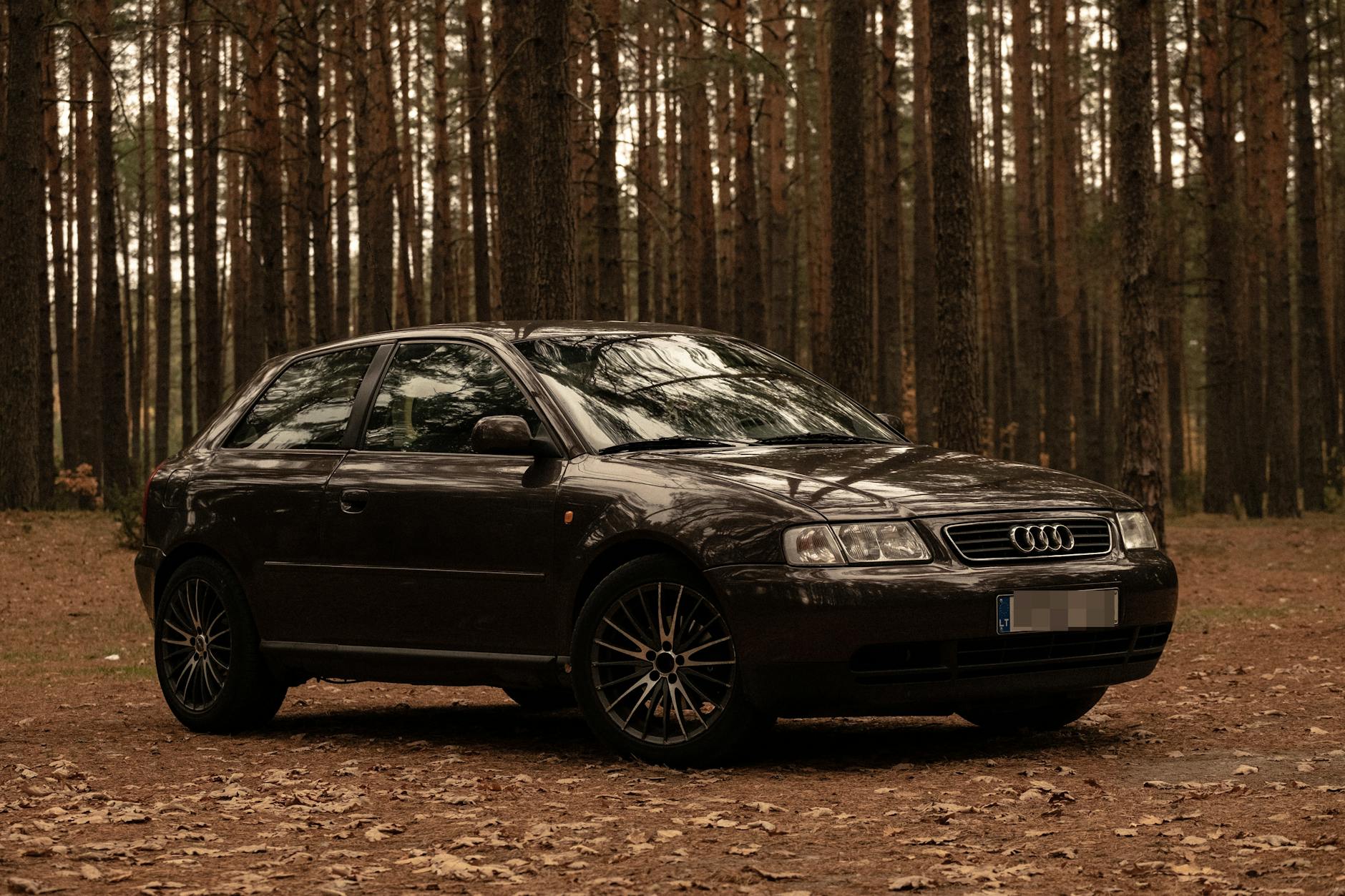 Illustration zu Gebrauchtwagen AUDI Q5 Test