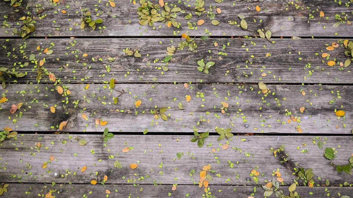 Symbolbild zum Thema Mainz – Eintracht Frankfurt