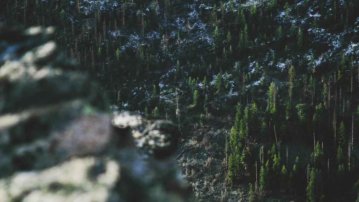 Musterfeststellungsklage Meta Illustration zu Musterfeststellungsklage Meta