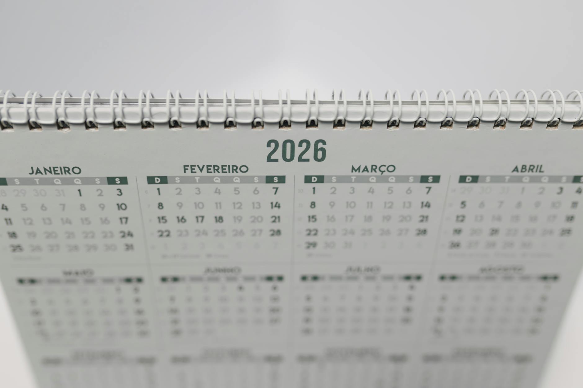 Paleo Programme 2026 Illustration zu Paleo Programme 2026