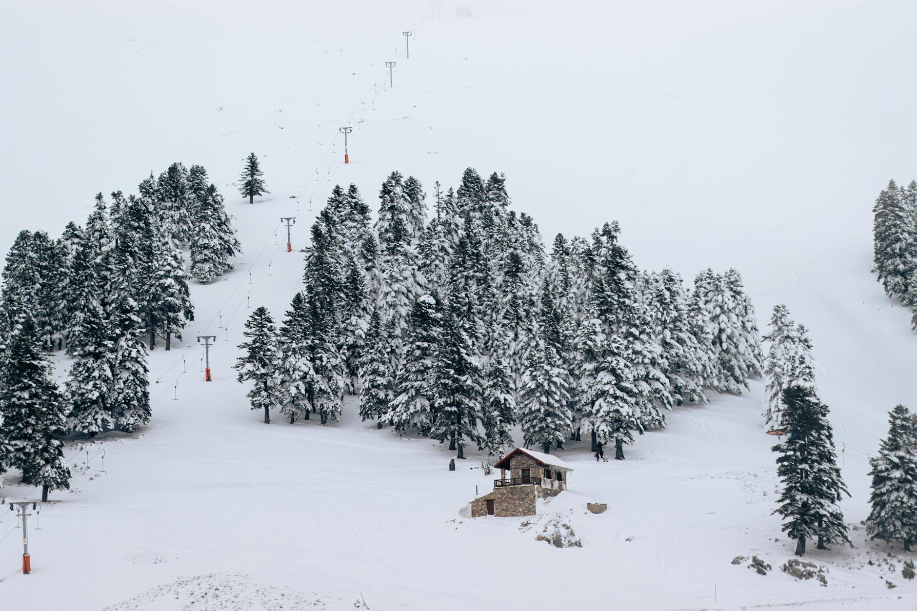 Ski Alpin Weltcup Courchevel Symbolbild zum Thema Ski Alpin Weltcup Courchevel