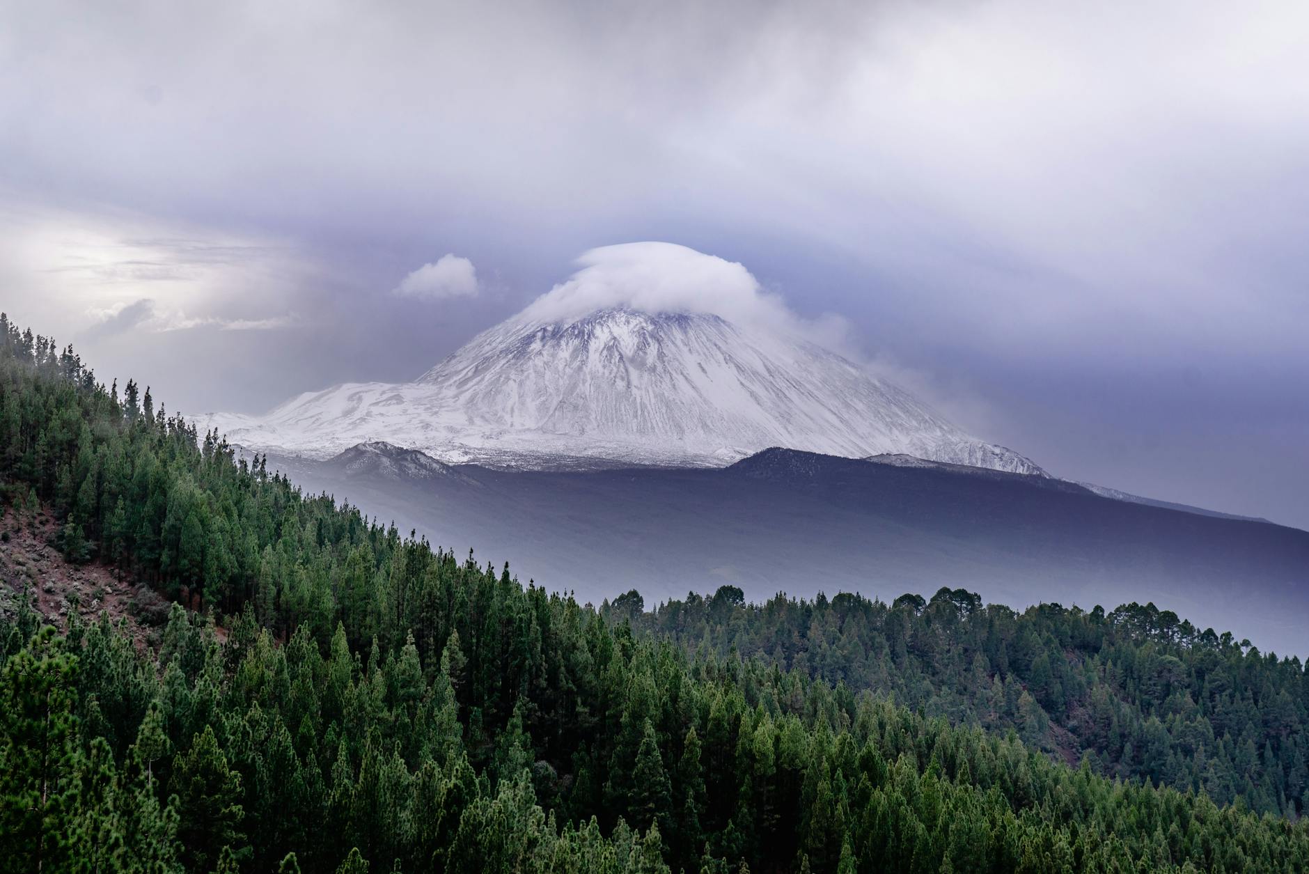 Teneriffa Teide Vulkanausbruch Detailansicht: Teneriffa Teide Vulkanausbruch
