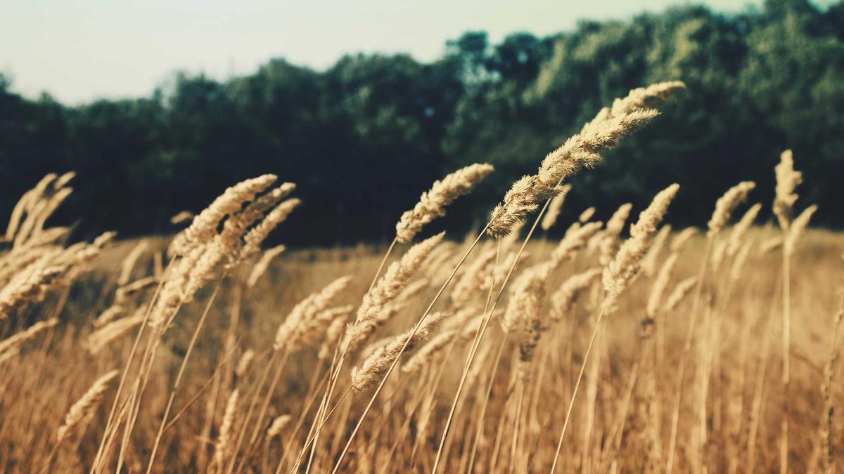 Zweite Bundesliga Symbolbild zum Thema Zweite Bundesliga