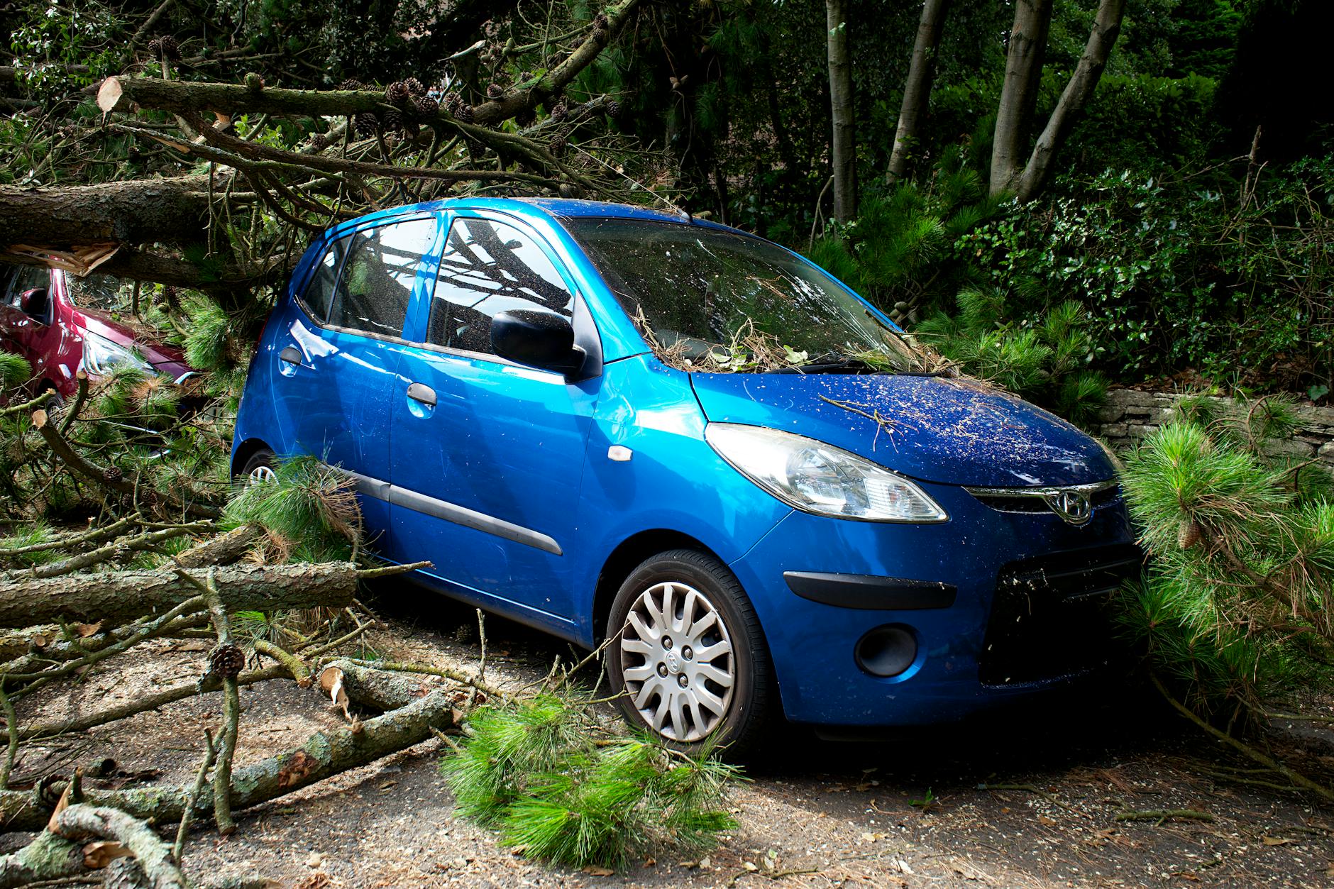 Illustration zu Accident De La Route