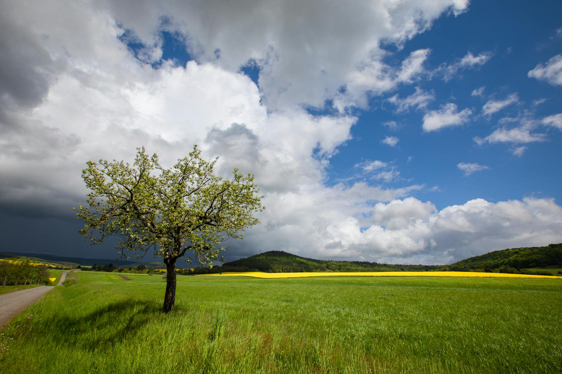 Detailansicht: Aprilwetter