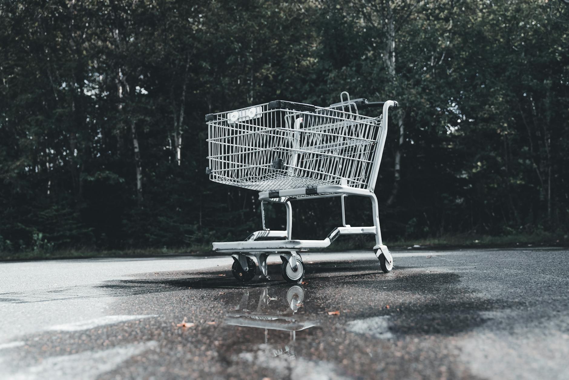 Einkaufswagen Detailansicht: Einkaufswagen