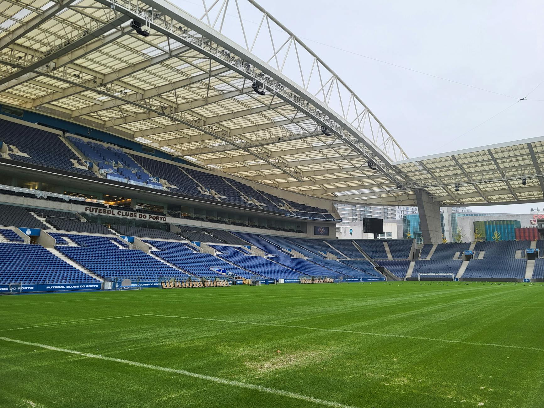 FC Schalke 04 Illustration zu FC Schalke 04