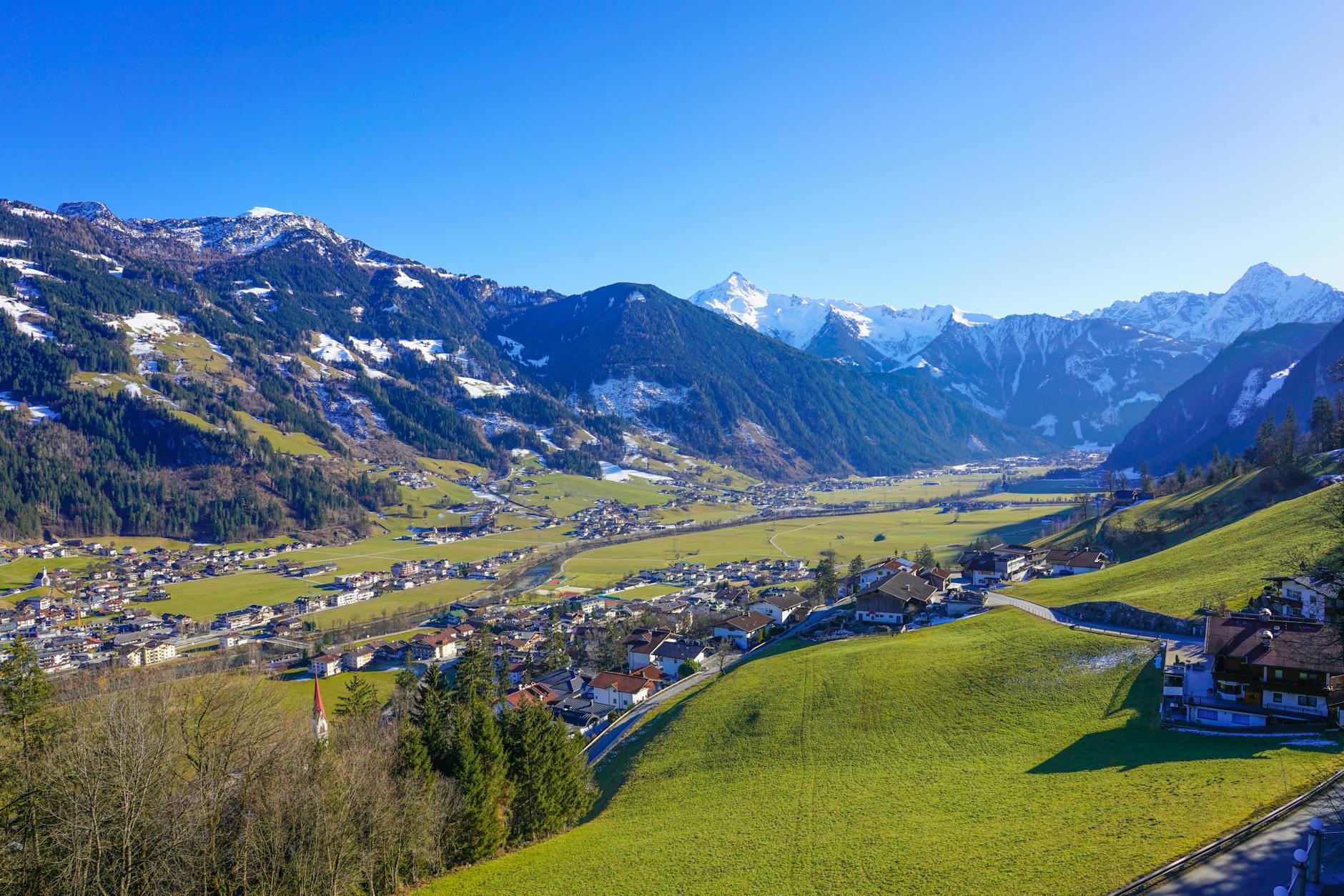 Grüne Tirol Spitzenkandidat Detailansicht: Grüne Tirol Spitzenkandidat