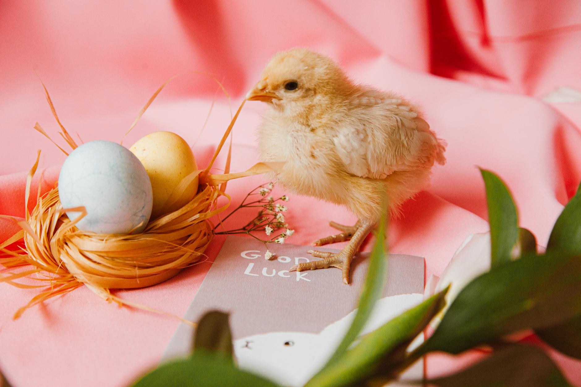 Symbolbild zum Thema Happy Easter