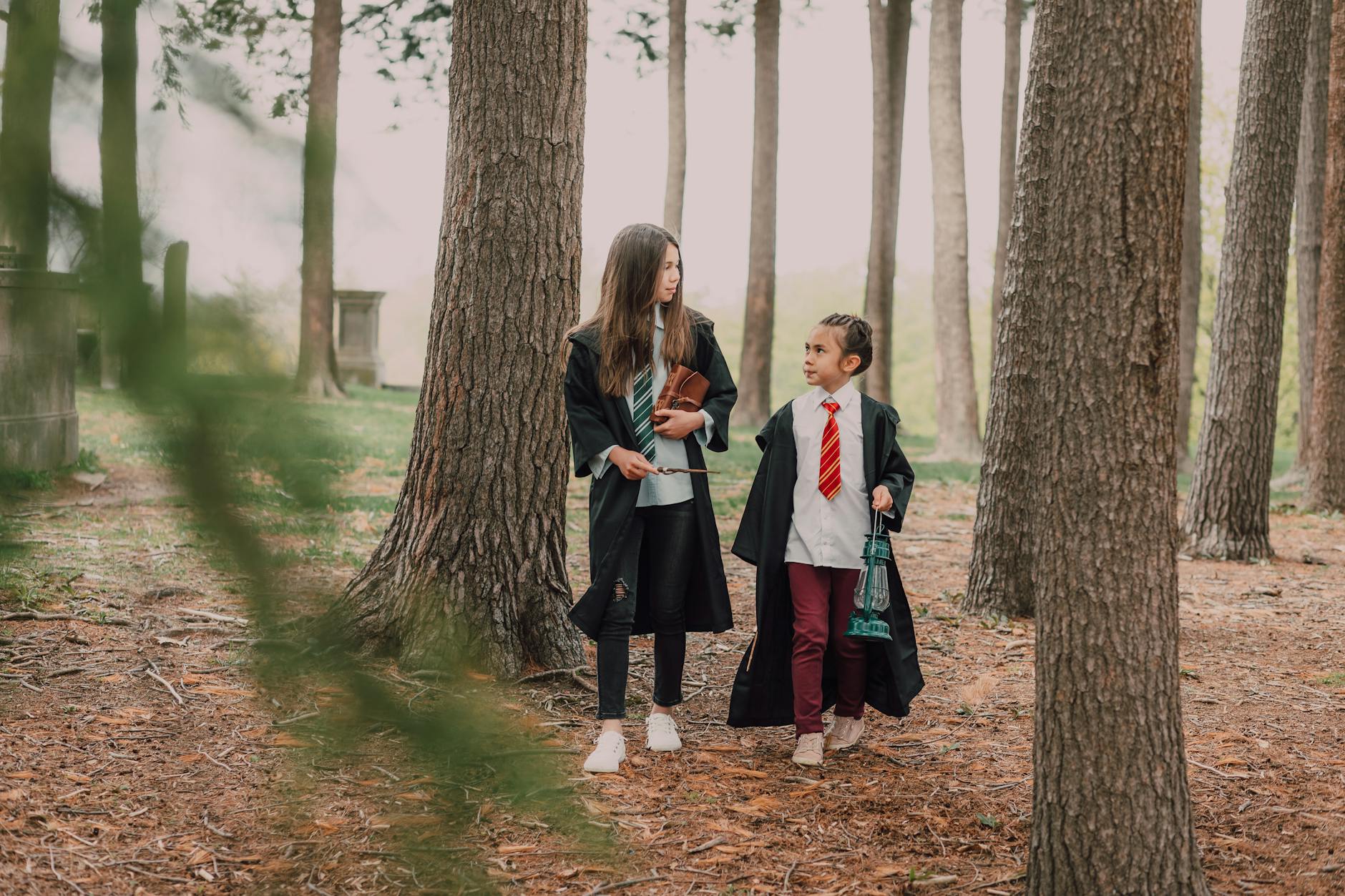 Harry Potter Detailansicht: Harry Potter