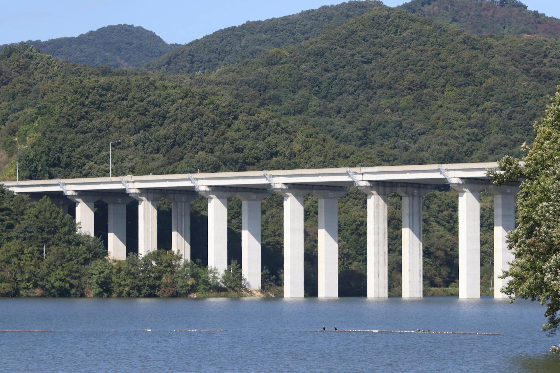 Italien Brücke Eingestürzt Detailansicht: Italien Brücke Eingestürzt