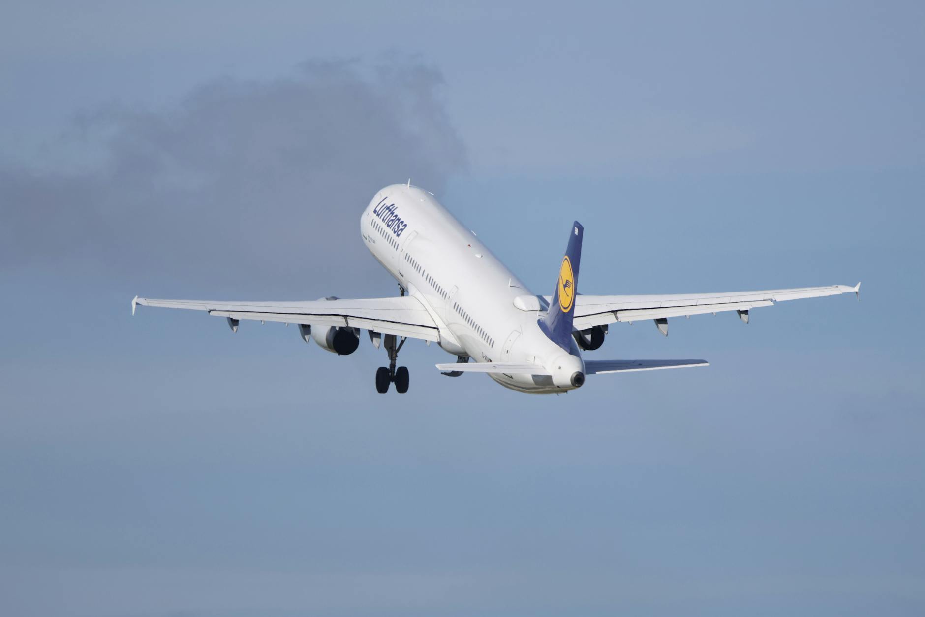 Detailansicht: Lufthansa Strike