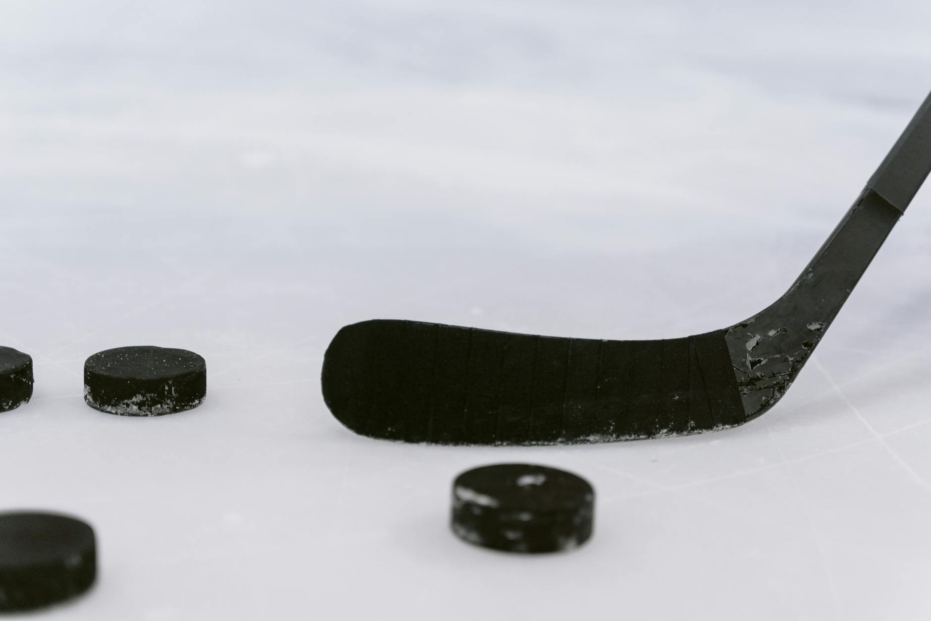 Mammoth – Golden Knights Symbolbild zum Thema Mammoth – Golden Knights