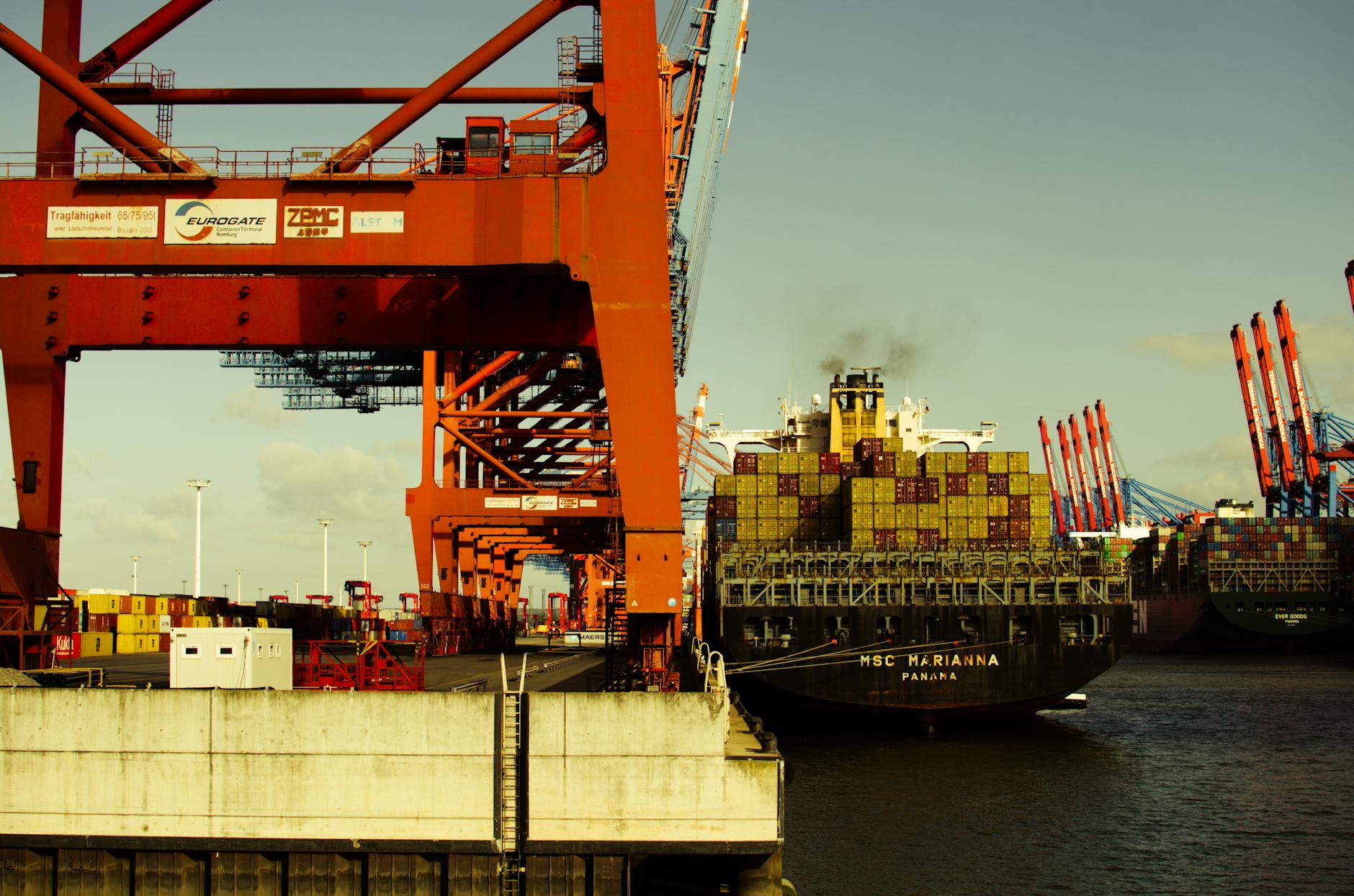 MSC Francesca Illustration zu MSC Francesca