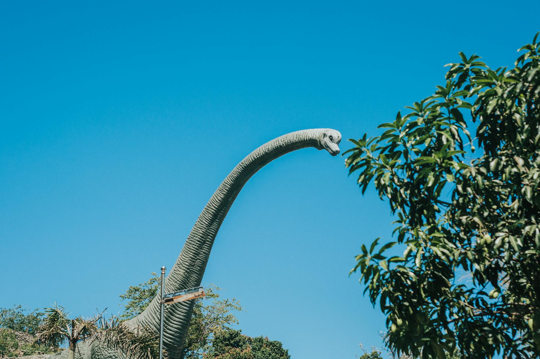 Quot Jurassic Symbolbild zum Thema Quot Jurassic