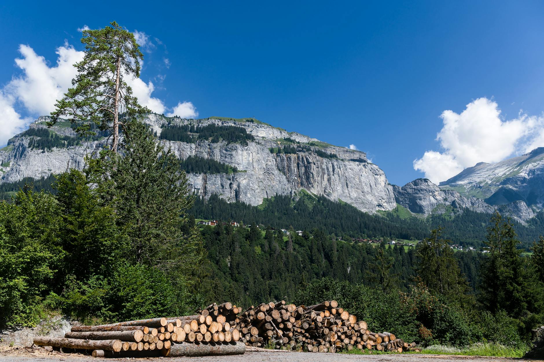 Saharastaub Schweiz Detailansicht: Saharastaub Schweiz