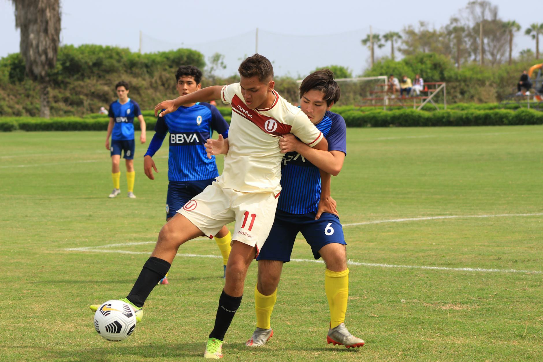 Symbolbild zum Thema Sporting – Santa Clara