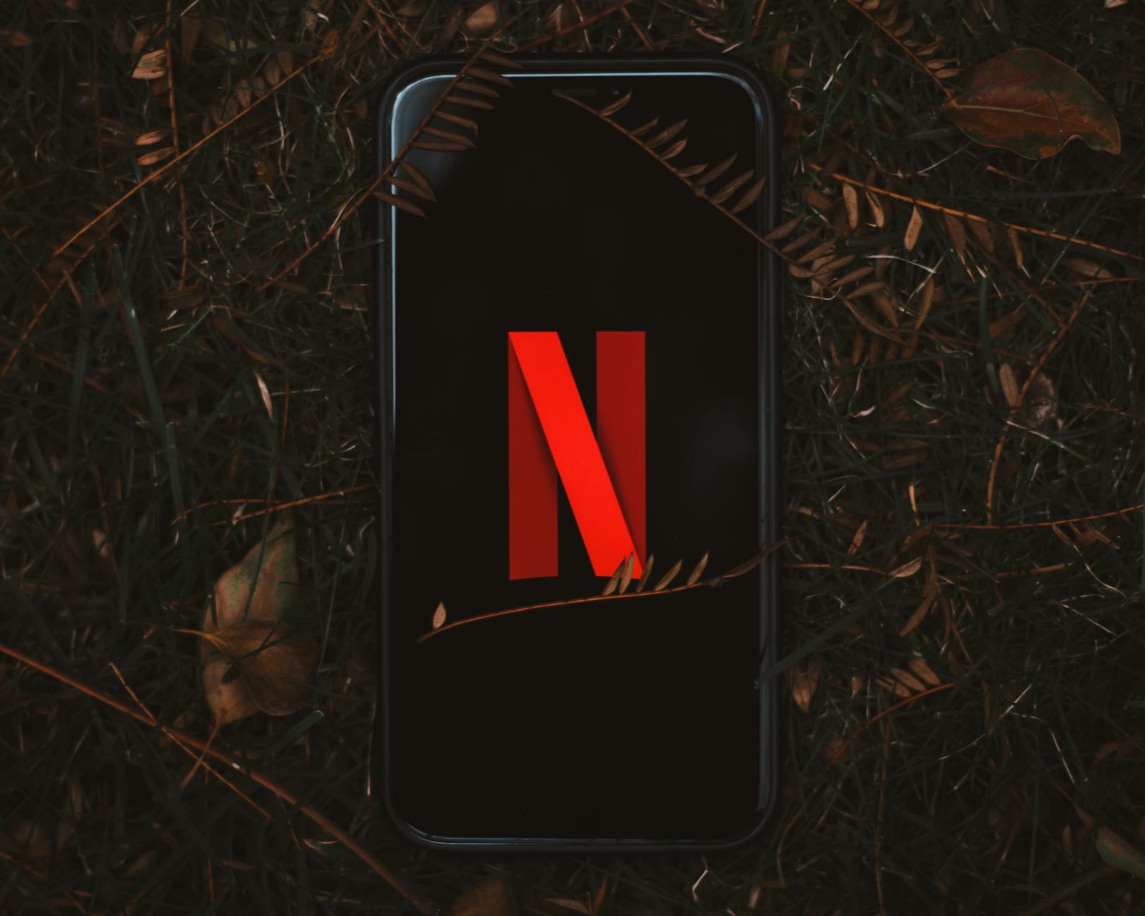 Thrash Film Netflix Symbolbild zum Thema Thrash Film Netflix