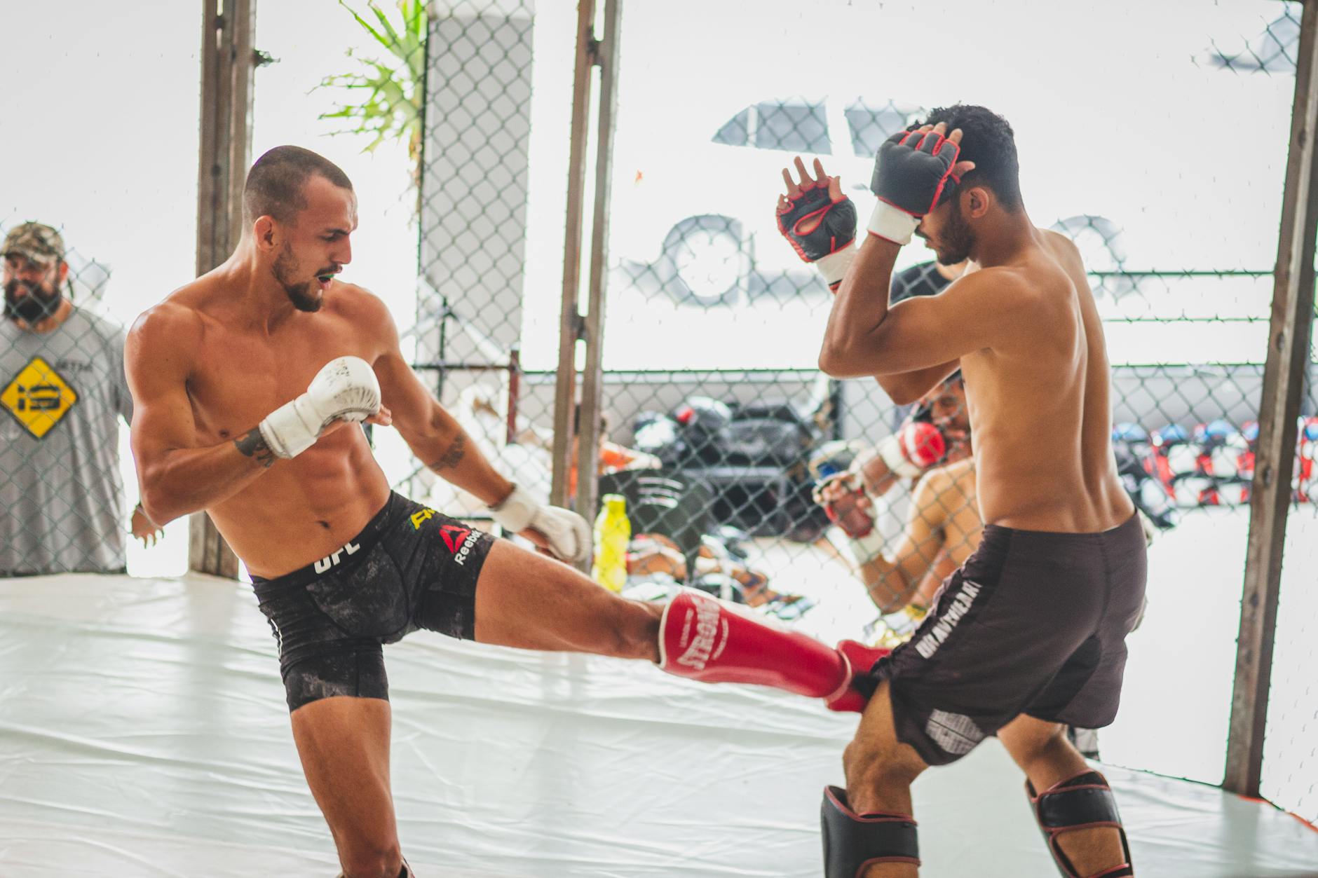 Ufc Illustration zu Ufc