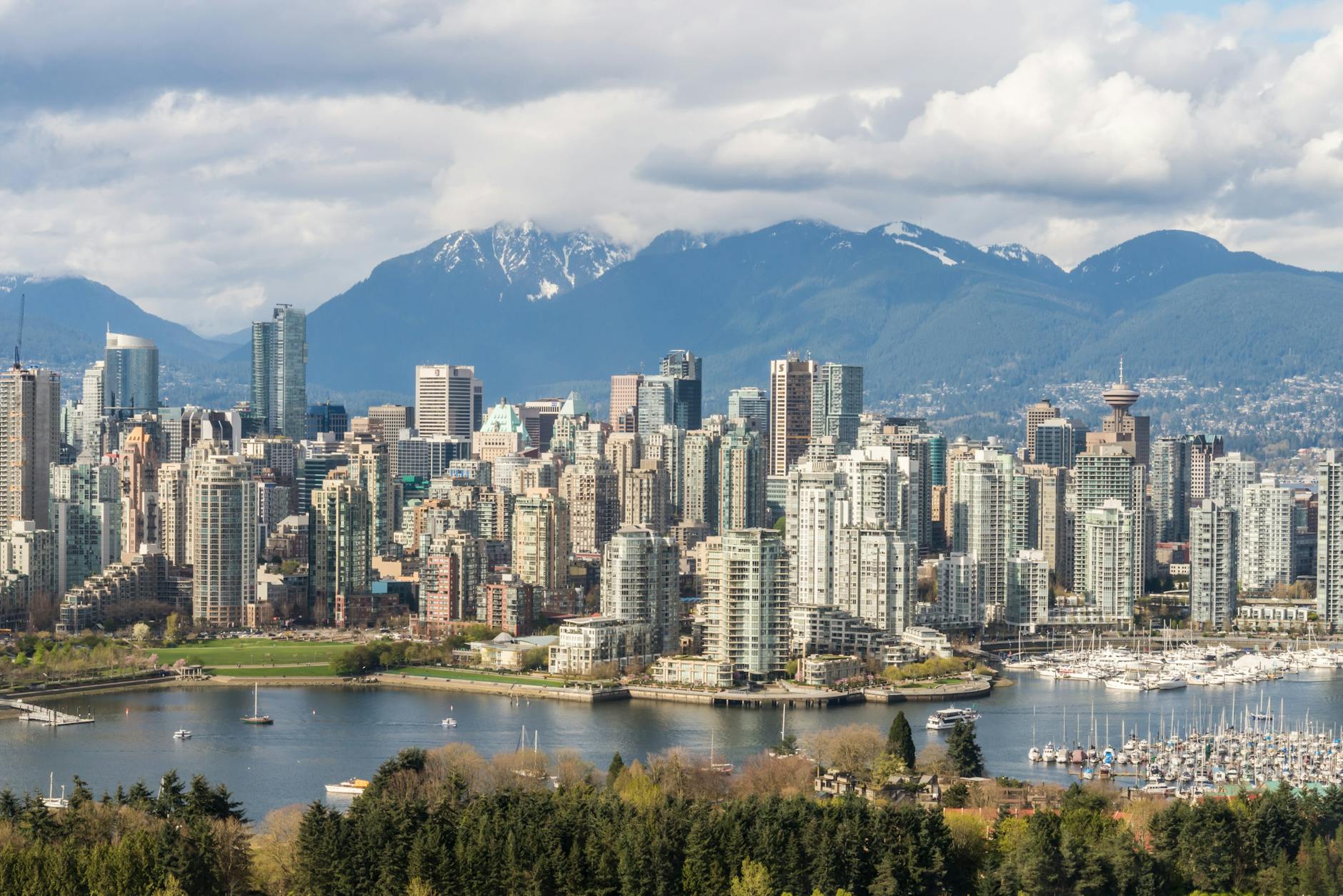 Vancouver Whitecaps Illustration zu Vancouver Whitecaps
