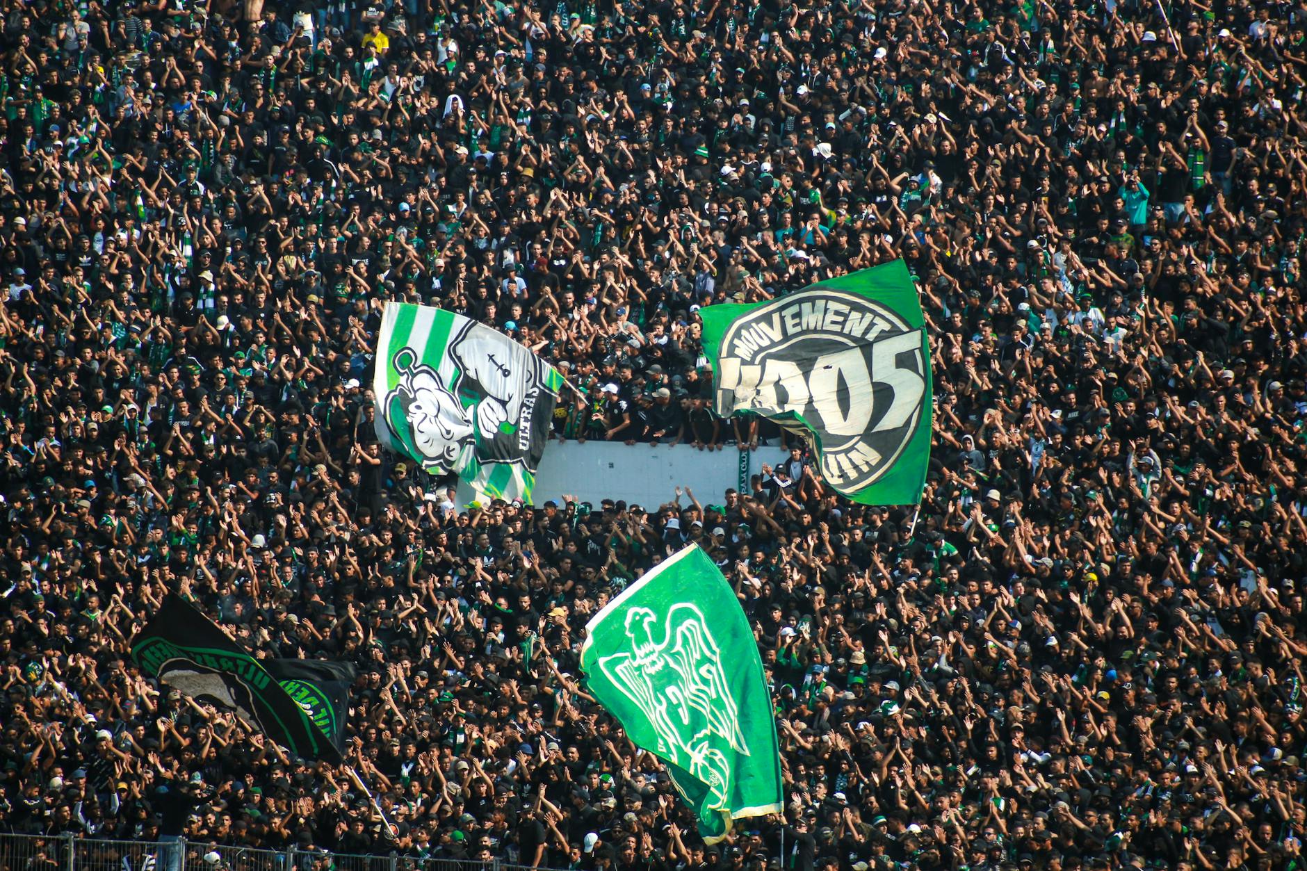 VFL Wolfsburg Illustration zu VFL Wolfsburg